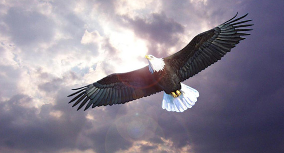 mg不朽情缘(中国)官方网站