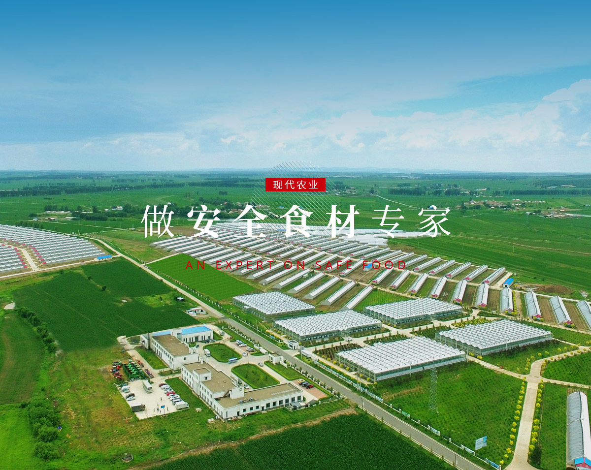 mg不朽情缘(中国)官方网站